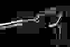 spitbull_0008-1.jpg