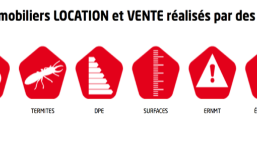 Stratege et le diagnostic immobilier: Une grande histoire d'amour