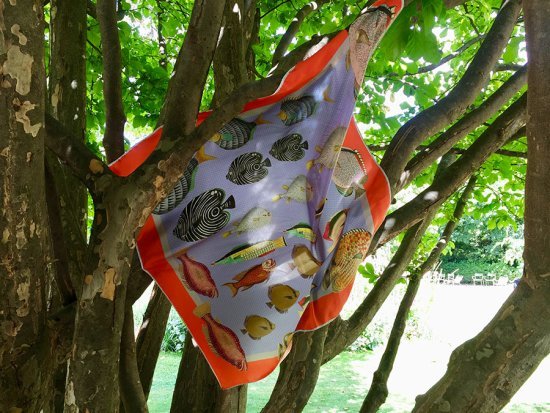 aquarium-scarf-on-tree.jpg