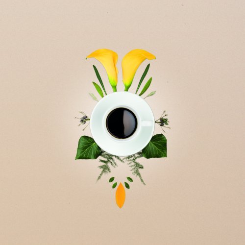 moulu_doux-graphisme.jpg