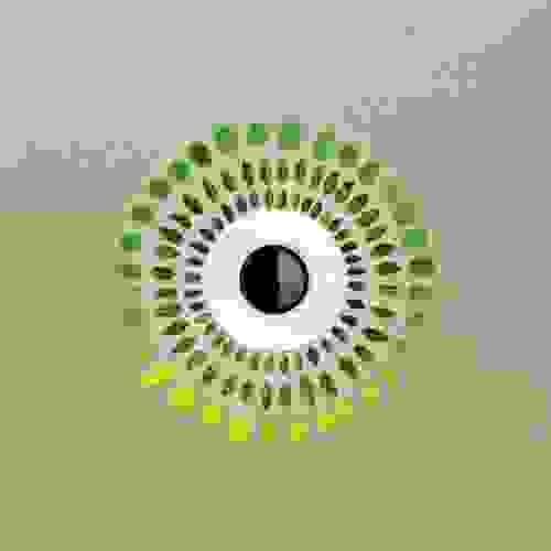 moulu_intense-graphisme.jpg