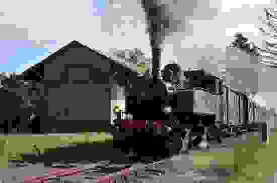 14_trainthurdolleralsace_locomotivemeuse_ctrainthurdolleralsace.jpg