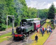 05_locomotivemallet_020020t_gareburnhaupt_ctrainthurdolleralsace.jpg