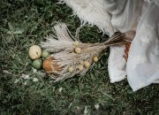 Le Wild Wedding Festival revient en septembre à Strasbourg