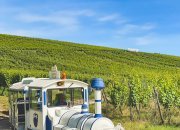 Le printemps pointe le bout de son nez, pensez à l'œnotourisme avec les Vignobles Ruhlmann-Schutz !