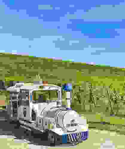 ruhlmann-schutz-petit-train-touristique.jpg