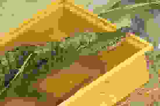 nile-crocodile-quotmahzoozquot-ifaw.jpg