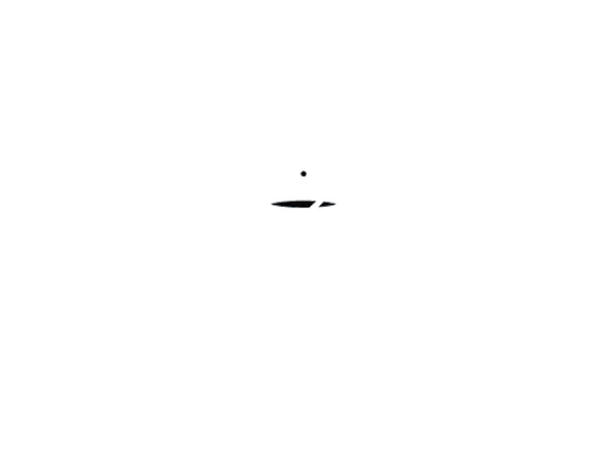 wntr-sauna-by-kesa-cc-88rafla-logo_conv_nega.png